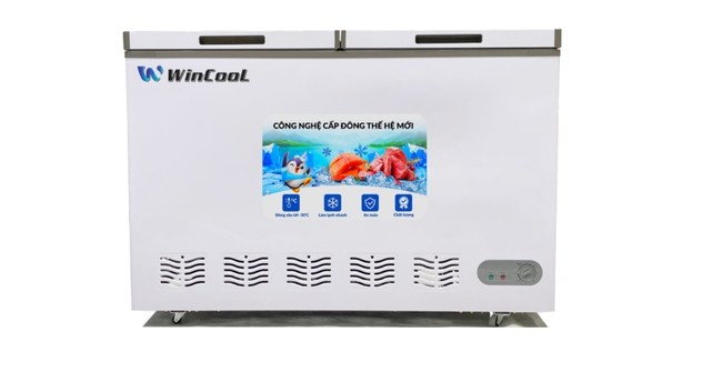 Tủ đông trắng 2 cánh W-CN1300T 278l