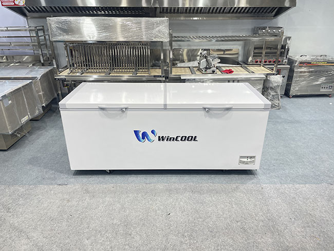 Tủ đông trắng 2 cánh W-CN2300T 840L