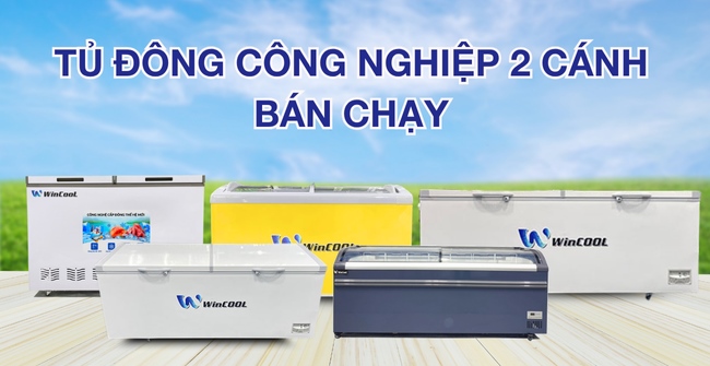 Mẫu tủ đông WinCool