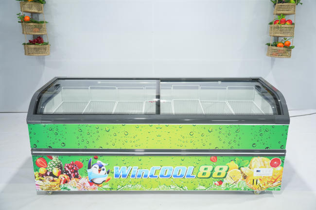 Tủ đông nằm 2 cánh W-2CND 600L