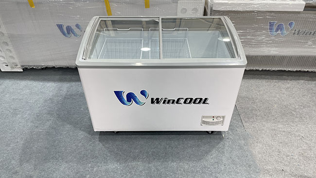 Tủ đông cửa lùa nằm 2 cánh W-CN1300