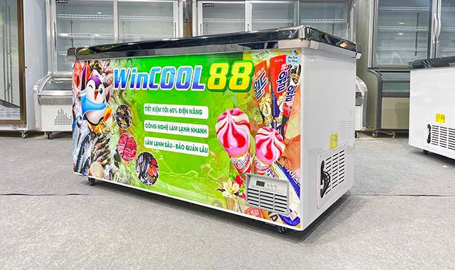 Tủ đông nằm 2 cánh W-CN1600