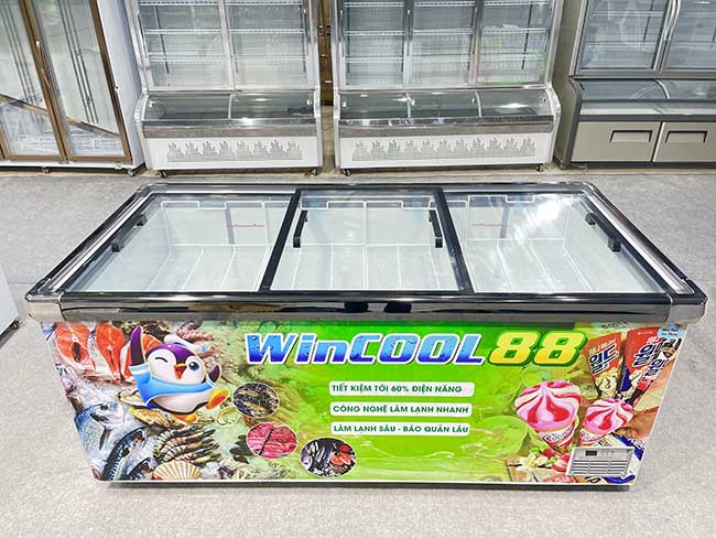 Tủ đông nằm 3 cánh W-CN2