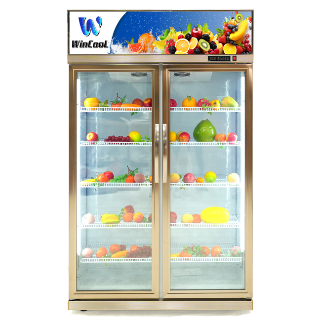 W-2C1CDGM tủ mát cho khu du lịch