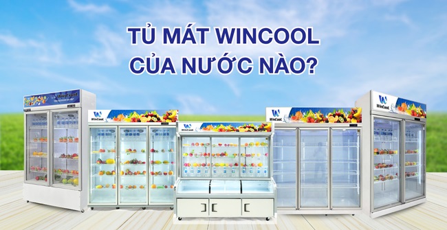 Tủ mát hãng WinCool của nước nào? Nguồn gốc xuất xứ thương hiệu