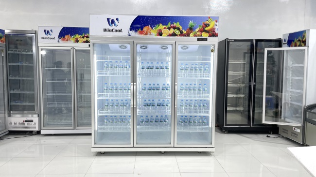 Tủ mát hiện đại WinCool