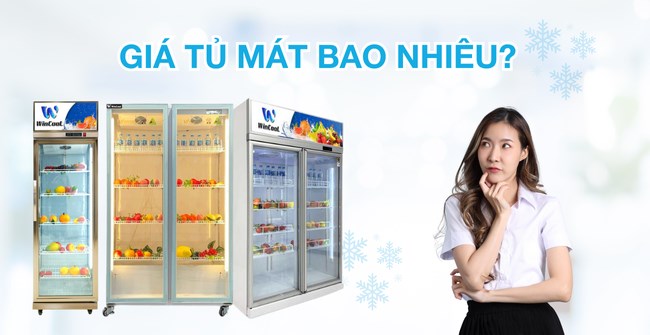 Giá tủ mát bao nhiêu? UPDATE bảng giá tủ mát mới nhất