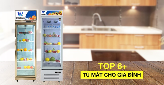 Review 6+ mẫu tủ mát cho gia đình bán chạy nhất hiện nay
