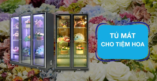 Mua tủ mát bảo quản hoa tại WinCool