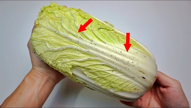 Rau có hiện tượng bị hỏng