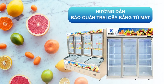 Hướng dẫn bảo quản trái cây bằng tủ mát tươi ngon như mới