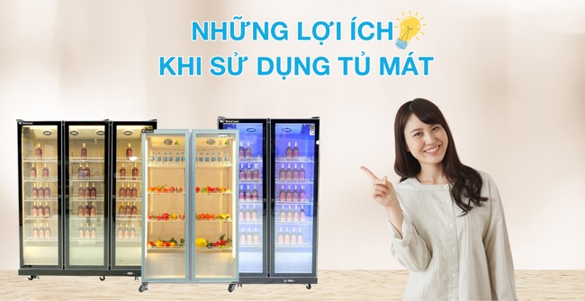 6+ lợi ích khi sử dụng tủ mát bảo quản thực phẩm & Lưu ý cần tránh
