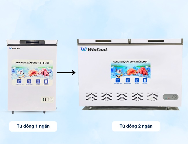 Khi nào nên đổi tủ đông 2 ngăn?
