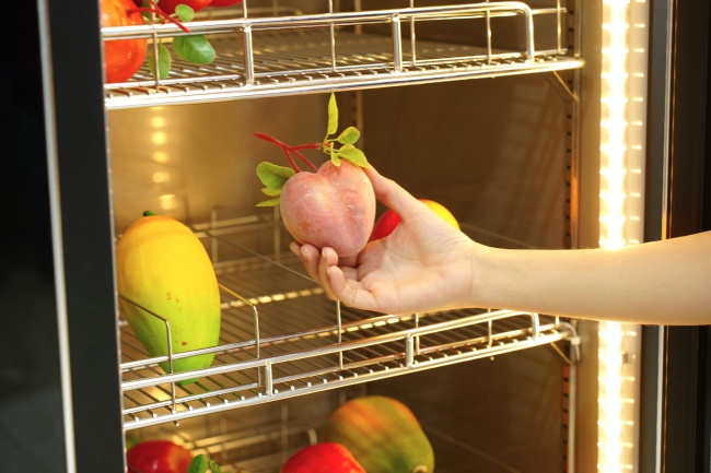 Tủ mát 1 cánh thích hợp bảo quản chuyên dụng