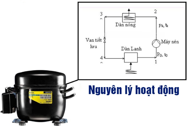 Sơ lược nguyên lý hoạt động