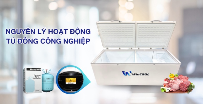 Khám phá nguyên lý hoạt động của tủ đông chi tiết & lưu ý vận hành