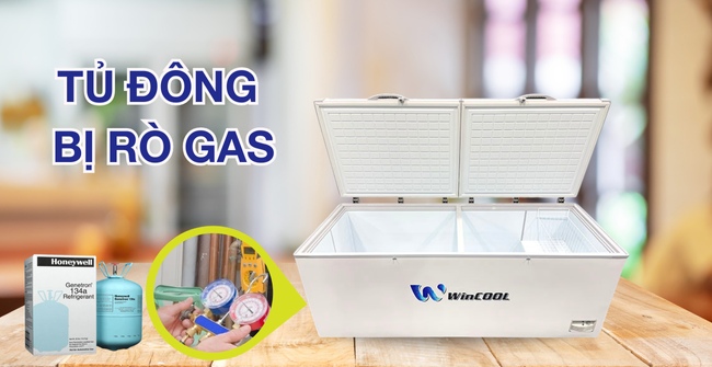Tủ đông bị rò gas do đâu? Cách xử lý nhanh, hiệu quả nhất
