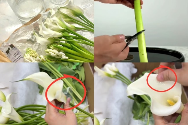 Sơ chế hoa tươi