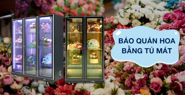 Bí quyết bảo quản hoa bằng tủ mát tươi lâu không lo héo tàn