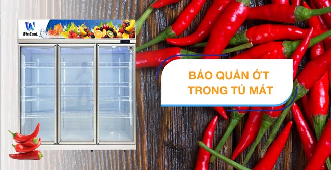 Mách nhỏ mẹo bảo quản ớt trong tủ mát tươi lâu không khô/hỏng