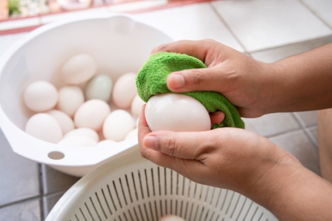 Làm sạch trứng khi bảo quản