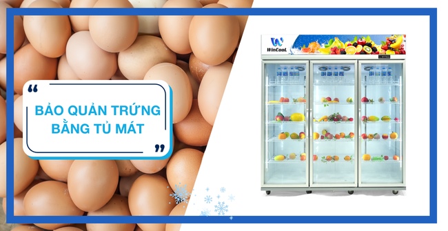 Bật mí mẹo bảo quản trứng bằng tủ mát Không ung, Không thối