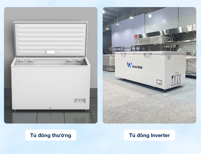 Chọn mua tủ đông nào tốt?