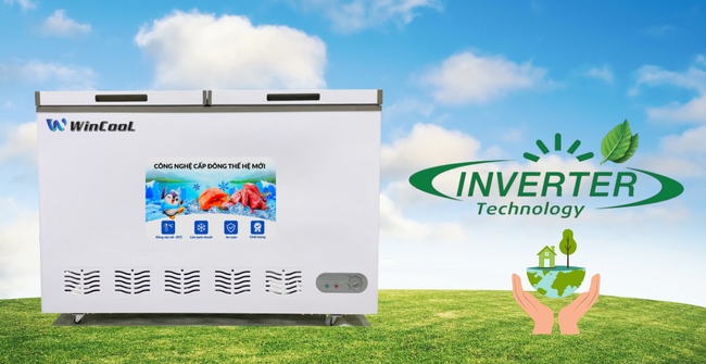 Vì sao nên lựa chọn tủ đông Inverter khi đầu tư kinh doanh?