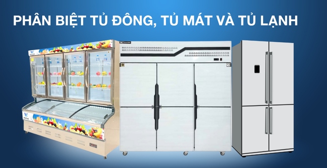 Tủ đông, tủ mát và tủ lạnh có gì khác biệt? Nên mua loại nào tốt?