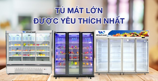 5 mẫu tủ mát lớn giá tốt được ưa chuộng phổ biến hiện nay
