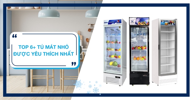 Tủ mát nhỏ được nhiều người yêu thích