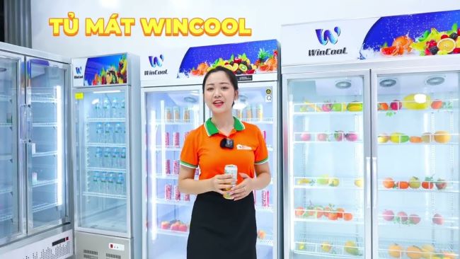 Tủ mát WinCool