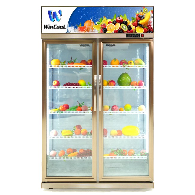 Tủ mát 2 cánh đứng