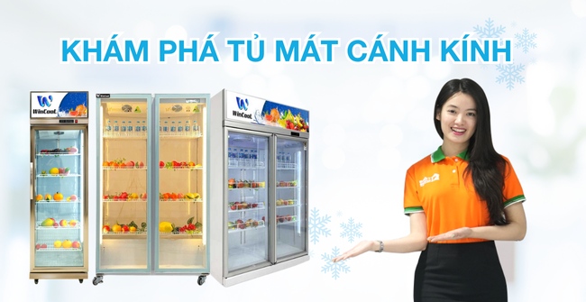 Tủ mát cánh kính là gì? Gợi ý 5+ mẫu tủ mát cánh kính HOT nhất