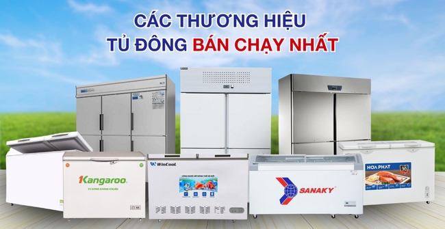 TOP 10 các thương hiệu tủ đông được mua nhiều nhất hiện nay