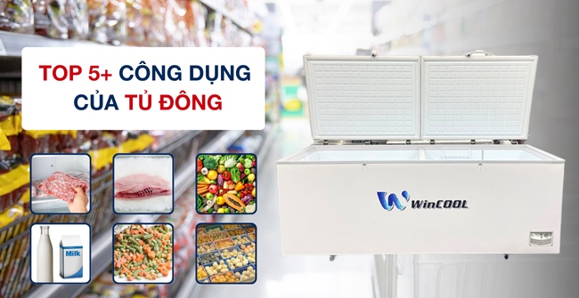 Công dụng của tủ đông là gì? 5+ lợi ích thực tế nhất