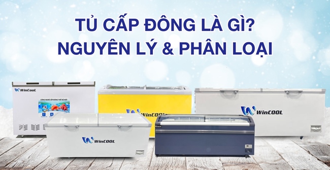 Tủ cấp đông là gì? Cấu tạo và phân loại tủ phổ biến nhất