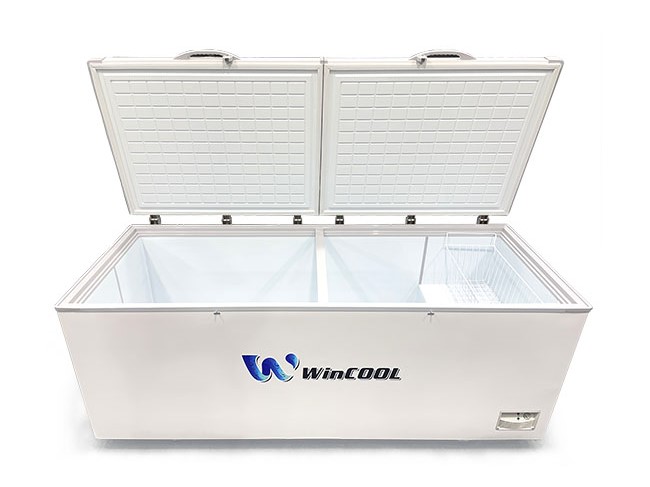 Tủ đông WinCool CN2600T