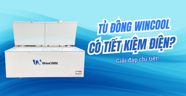 Tủ đông WinCool có tiết kiệm điện không? Cách dùng tủ luôn bền tốt
