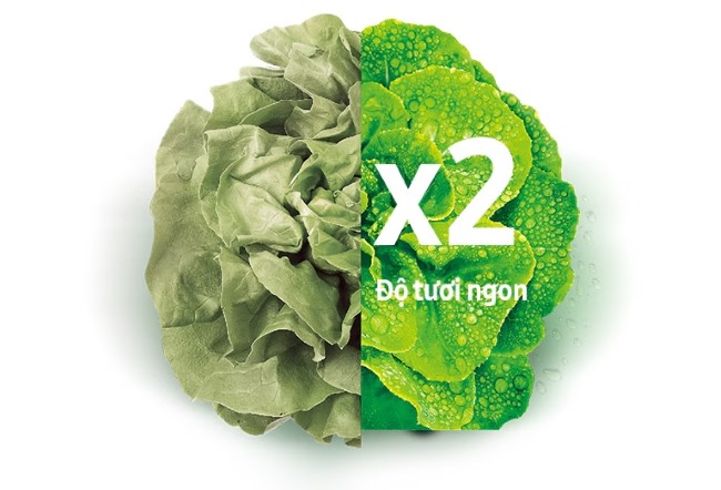 Giữ thực phẩm luôn tươi ngon