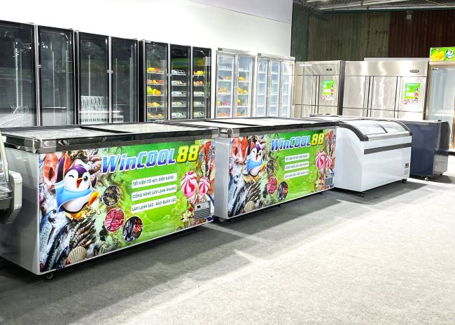 Đa dạng mẫu tủ đông