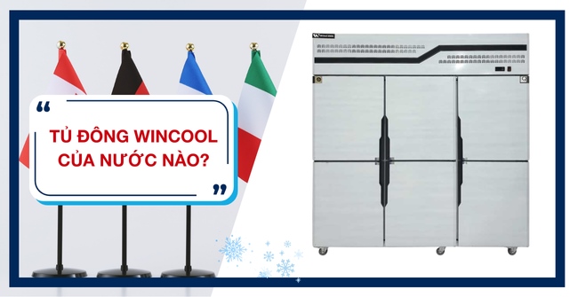 Tủ đông WinCool của nước nào? Chất lượng ra sao?