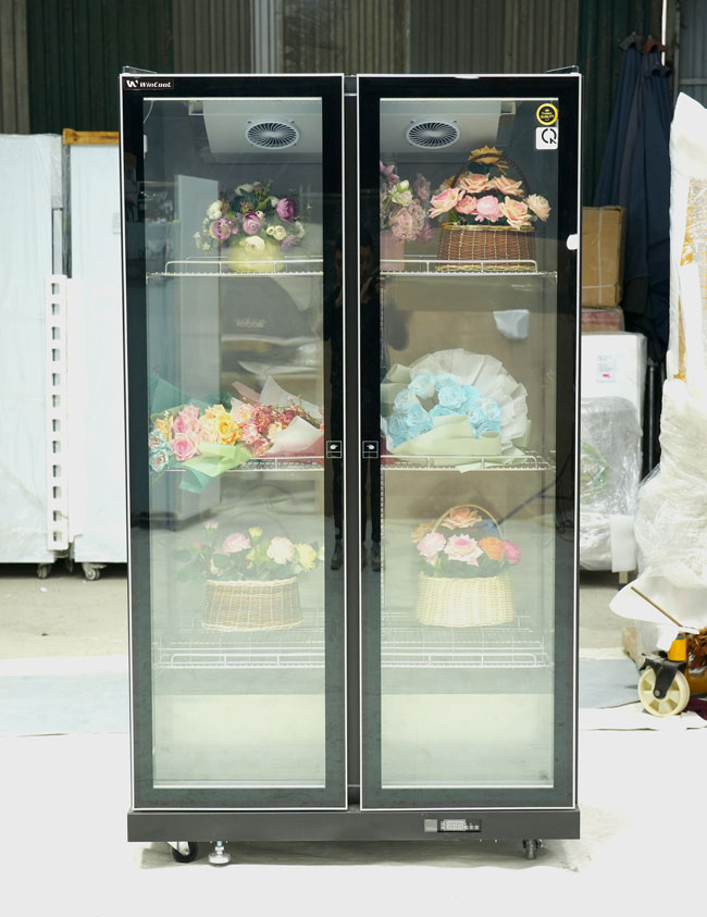 Thiết kế hiện đại