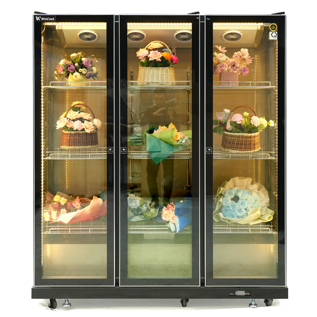 Tủ bảo quản hoa 3 cánh đen HR1860PJ 1600L