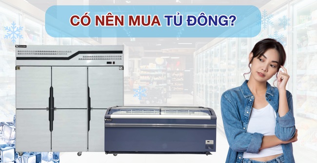Có nên mua tủ đông không? Chọn loại nào tốt và Lưu ý cần biết