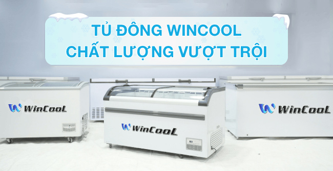 Check ngay 5 lý do nên mua tủ đông WinCool cho siêu thị, nhà hàng