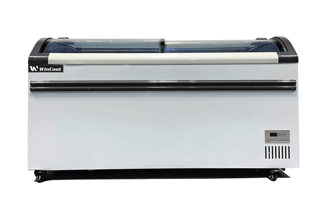 Tủ đ&ocirc;ng nằm 2 c&aacute;nh 2CND