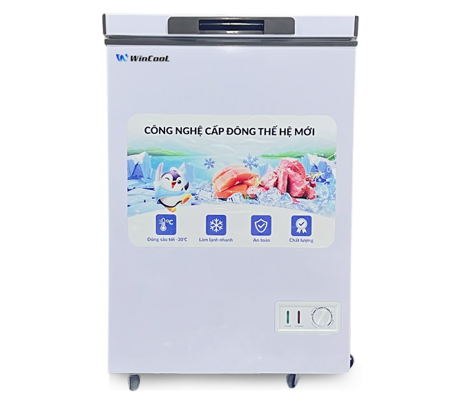 Tủ đ&ocirc;ng mini WinCool