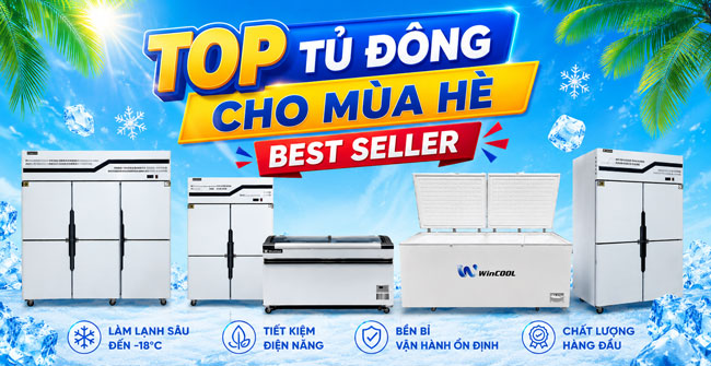 Top 6 tủ đông cho mùa hè đáng mua nhất hiện nay, giá ƯU ĐÃI